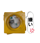 Lunaちゃんの日常（個別スタンプ：15）