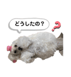 Lunaちゃんの日常（個別スタンプ：18）
