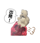 Lunaちゃんの日常（個別スタンプ：20）
