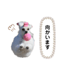 Lunaちゃんの日常（個別スタンプ：21）