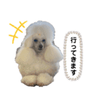Lunaちゃんの日常（個別スタンプ：22）