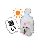 Lunaちゃんの日常（個別スタンプ：25）