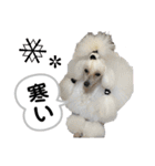 Lunaちゃんの日常（個別スタンプ：26）