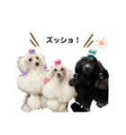 Lunaちゃんの日常（個別スタンプ：27）