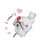 Lunaちゃんの日常（個別スタンプ：31）