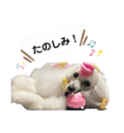 Lunaちゃんの日常（個別スタンプ：33）