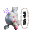 Lunaちゃんの日常（個別スタンプ：35）