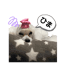 Lunaちゃんの日常（個別スタンプ：36）