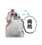 Lunaちゃんの日常（個別スタンプ：37）