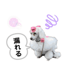 Lunaちゃんの日常（個別スタンプ：38）