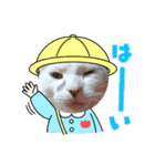 やんちゃなゴマ（個別スタンプ：1）