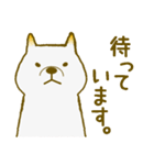 シロトモ（白の柴犬）（個別スタンプ：17）