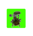 うパるパくん（個別スタンプ：3）