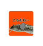 うパるパくん（個別スタンプ：4）