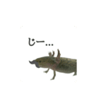 うパるパくん（個別スタンプ：5）