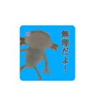うパるパくん（個別スタンプ：8）