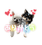 babyるぅ！ぴゅあさんと一緒編（個別スタンプ：2）