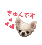 babyるぅ！ぴゅあさんと一緒編（個別スタンプ：6）