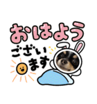 babyるぅ！ぴゅあさんと一緒編（個別スタンプ：21）