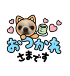 babyるぅ！ぴゅあさんと一緒編（個別スタンプ：24）