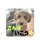 もんちゃんすたんぷ2（個別スタンプ：1）