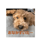 もんちゃんすたんぷ2（個別スタンプ：6）