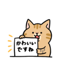 敬語でひとこと返信 茶ねこ（個別スタンプ：1）