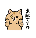 敬語でひとこと返信 茶ねこ（個別スタンプ：4）