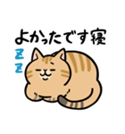 敬語でひとこと返信 茶ねこ（個別スタンプ：7）