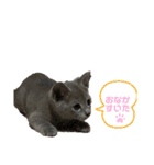まりたん2（個別スタンプ：11）