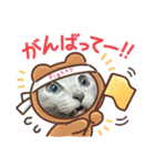 まりたん2（個別スタンプ：14）