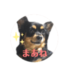 こはなひめスタンプpart2（個別スタンプ：2）