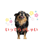 こはなひめスタンプpart2（個別スタンプ：5）