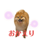 こはなひめスタンプpart2（個別スタンプ：6）