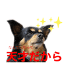 こはなひめスタンプpart2（個別スタンプ：11）