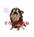 こはなひめスタンプpart2（個別スタンプ：13）