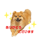こはなひめスタンプpart2（個別スタンプ：19）