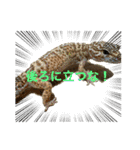 大好きな仲間♡2（個別スタンプ：9）