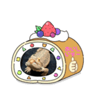 大好きな仲間♡2（個別スタンプ：11）