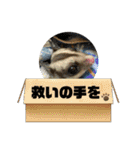 大好きな仲間♡2（個別スタンプ：13）
