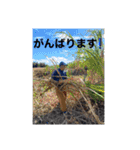 民宿なみ荘ナミムナーと仲間たち（個別スタンプ：35）