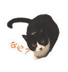 くりとから（個別スタンプ：1）