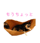 くりとから（個別スタンプ：7）