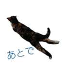 くりとから（個別スタンプ：8）