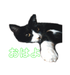 くりとから（個別スタンプ：10）