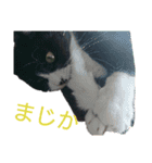 くりとから（個別スタンプ：11）