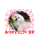 ペキビションのRiriちゃん（個別スタンプ：8）