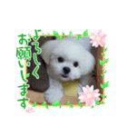 ペキビションのRiriちゃん（個別スタンプ：14）