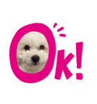 まりんノすたんぷ（個別スタンプ：1）