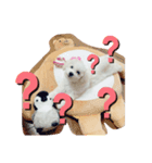まりんノすたんぷ（個別スタンプ：5）